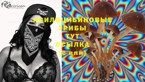 мефедрон мука Вяземский
