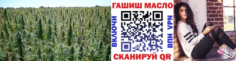 Купить где  Полярный  ТГК THC oil 